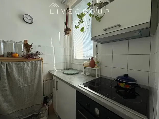 Pronájem bytu 1+kk, Brno, Haškova, 27 m2