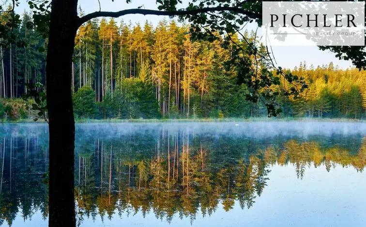 Prodej komerční, Hazlov - Polná, 12000 m2