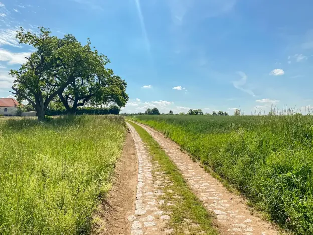Prodej pozemku pro bydlení, Oleška, 804 m2