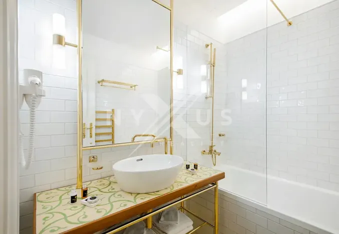 Pronájem bytu 2+kk, Praha - Vinohrady, Mánesova, 75 m2