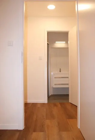 Prodej bytu 1+1, Brno, Dobrovského, 40 m2