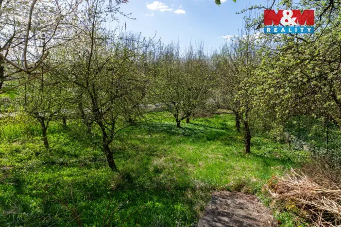 Prodej atypického bytu, Orlová - Město, Fr. Palackého, 140 m2