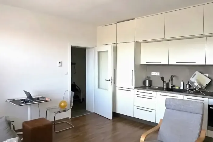 Pronájem bytu 2+kk, Brno, Rybářská, 39 m2