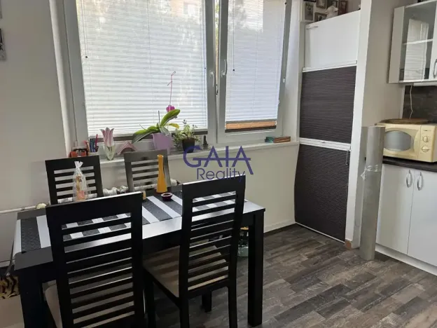 Pronájem bytu 1+1, Hodonín, Lesní, 33 m2