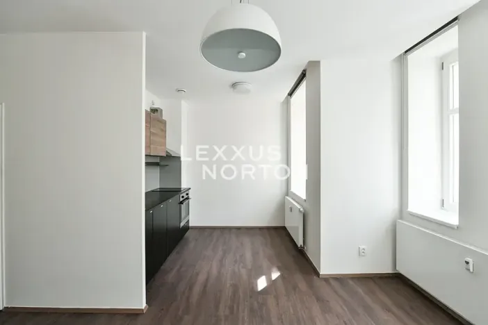 Pronájem bytu 1+kk, Praha - Vinohrady, Lucemburská, 30 m2