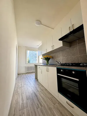 Pronájem bytu 4+1, Litvínov, Školní, 101 m2