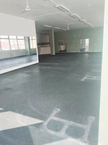 Pronájem obchodního prostoru, Brno, Palackého třída, 311 m2
