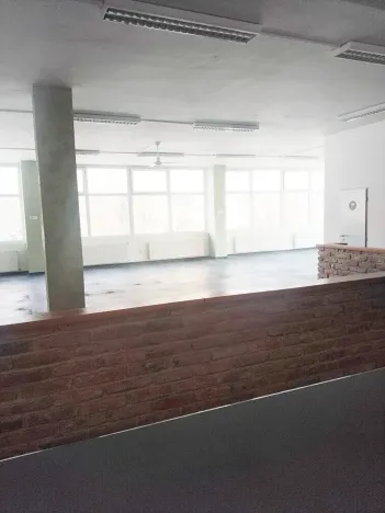 Pronájem obchodního prostoru, Brno, Palackého třída, 311 m2