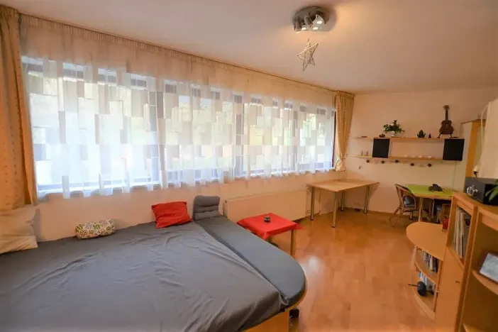 Pronájem bytu 1+kk, Praha - Podolí, Brabcova, 43 m2