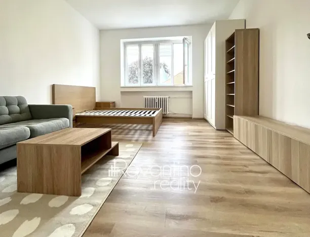 Pronájem bytu 1+1, Brno, bratří Čapků, 37 m2