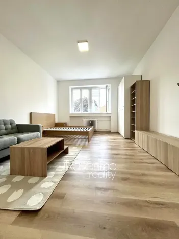 Pronájem bytu 1+1, Brno, bratří Čapků, 37 m2