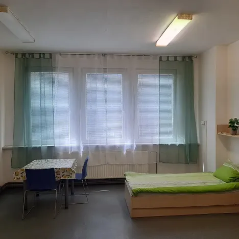 Pronájem bytu 1+kk, Hranice - Hranice I-Město, Potštátská, 30 m2