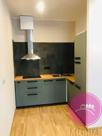 Pronájem bytu 2+kk, Olomouc, Švédská, 39 m2