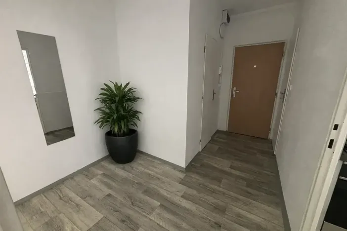 Pronájem bytu 2+1, Litvínov, Školní, 65 m2