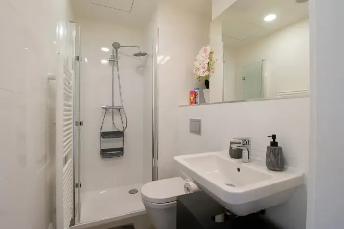 Pronájem bytu 1+kk, Praha - Vinohrady, Perucká, 25 m2