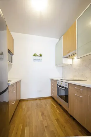 Pronájem bytu 2+kk, Praha - Vinohrady, Italská, 72 m2