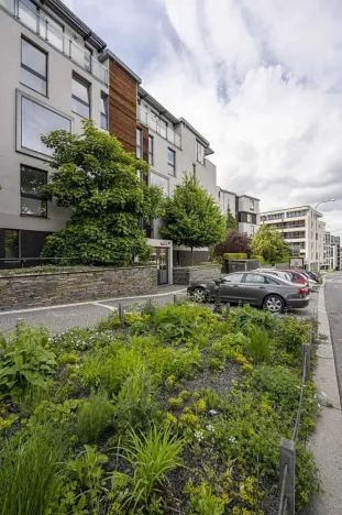 Pronájem bytu 2+kk, Praha - Vinohrady, Italská, 72 m2