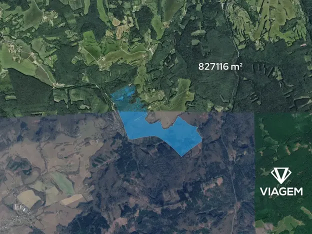 Prodej podílu lesa, Lípa, 13728 m2