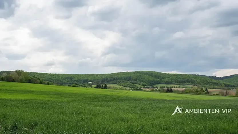 Prodej rodinného domu, Brno, 211 m2