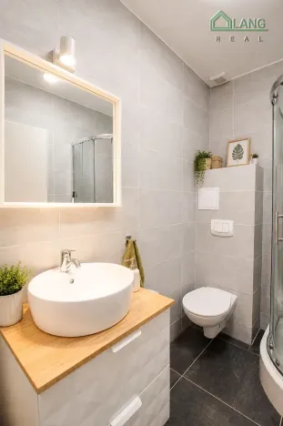 Pronájem bytu 1+kk, Brno, Koliště, 21 m2