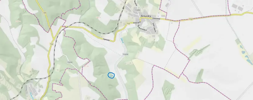 Prodej lesa, Silůvky, 521 m2