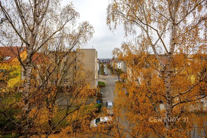 Prodej bytu 2+1, Plzeň, Ořechová, 68 m2
