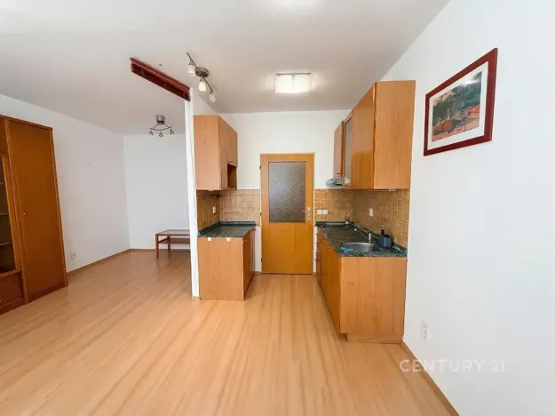 Pronájem bytu 1+kk, Praha - Libeň, Kurta Konráda, 29 m2