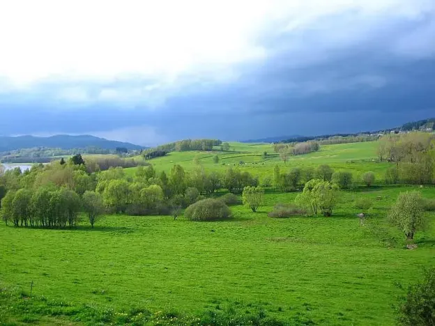 Prodej komerčního pozemku, Horní Planá, 3100 m2
