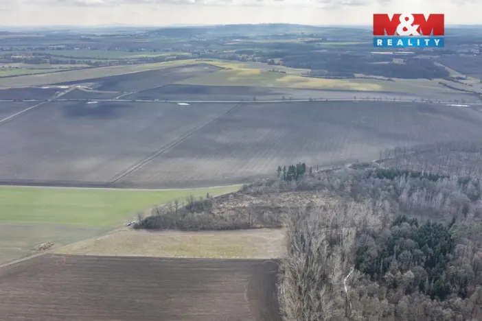Prodej lesa, Bohuslavice, 11971 m2