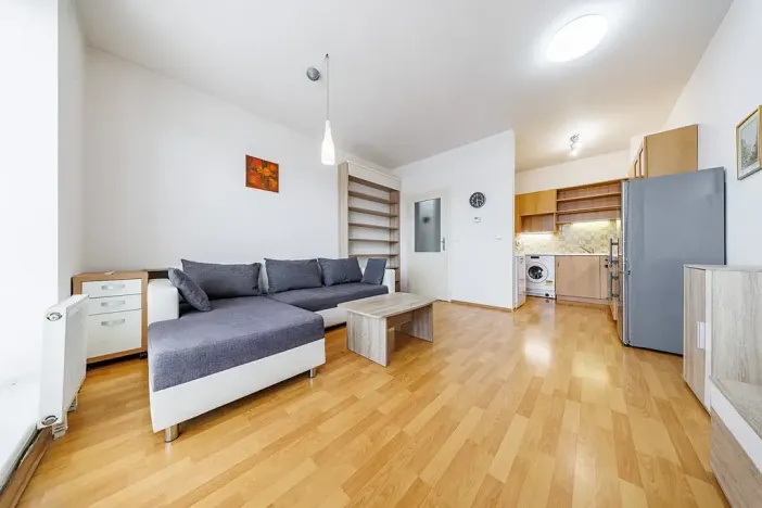 Prodej bytu 2+kk, Brno, Ke Statku, 45 m2