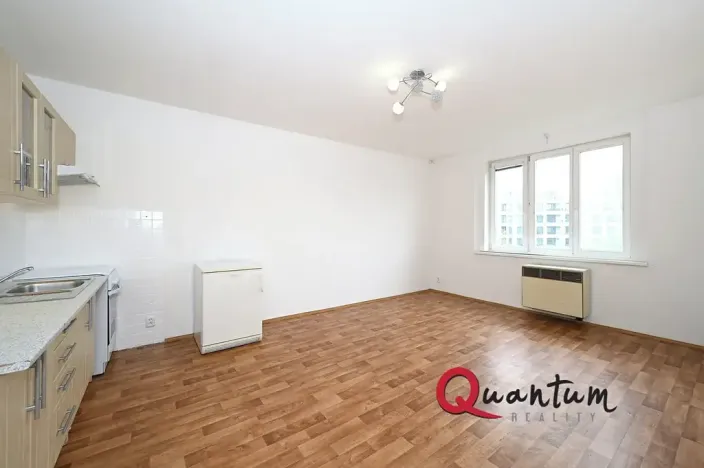 Pronájem bytu 1+kk, Praha - Vinohrady, Fričova, 31 m2