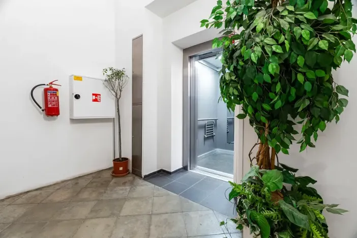 Prodej bytu 2+kk, Praha - Karlín, Peckova, 77 m2