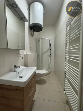 Pronájem bytu 1+1, Mělník, Bezručova, 40 m2