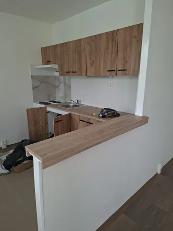 Pronájem bytu 3+1, Teplice, Bohosudovská, 55 m2