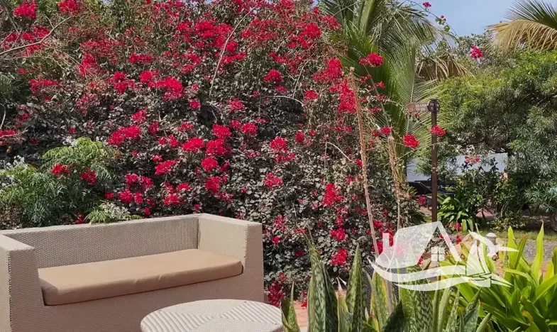 Prodej atypického bytu, Santa Maria, Kapverdy, 45 m2