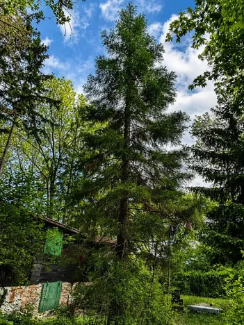 Prodej chaty, Koštice, 28 m2