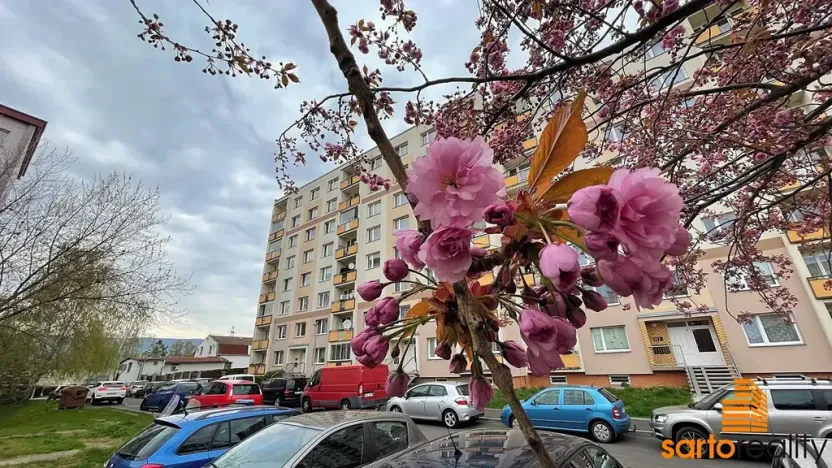 Pronájem bytu 1+1, Ústí nad Labem, Zahradní, 33 m2