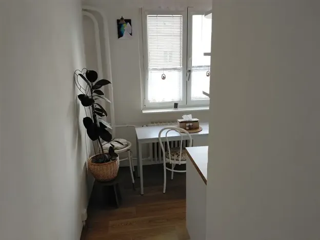 Pronájem bytu 1+1, Slaný, Plynárenská, 35 m2