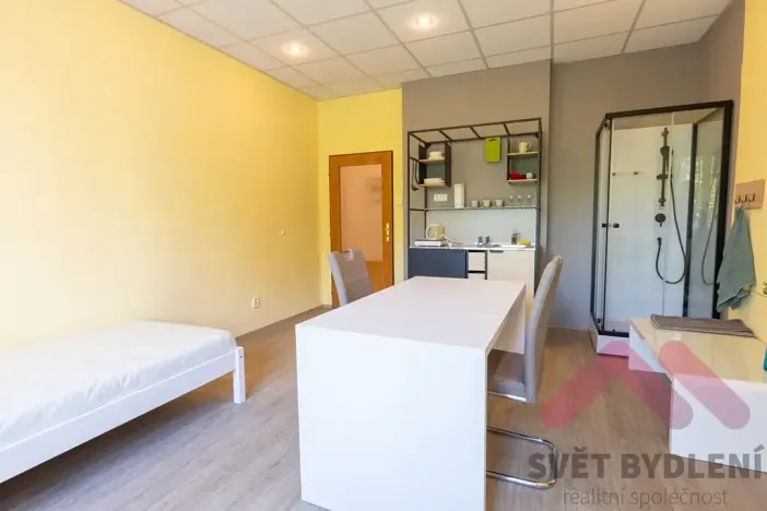 Pronájem bytu 1+kk, Praha - Vršovice, Tolstého, 28 m2