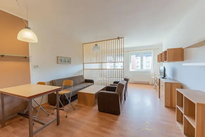 Pronájem bytu 1+kk, Olomouc, Na Tabulovém vrchu, 42 m2