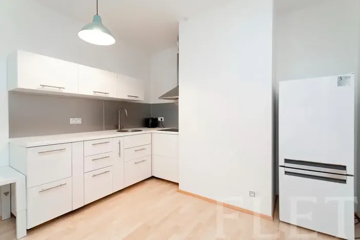 Pronájem bytu 1+kk, Praha - Žižkov, Olšanská, 43 m2