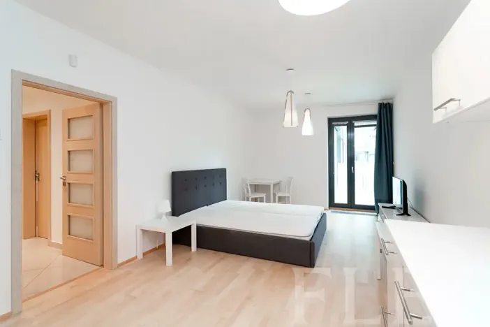 Pronájem bytu 1+kk, Praha - Žižkov, Olšanská, 43 m2