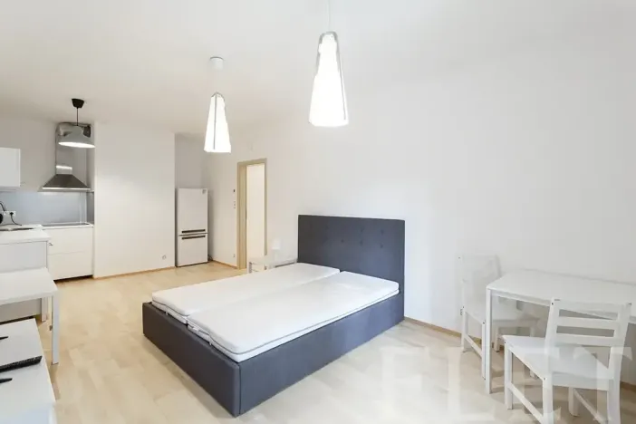 Pronájem bytu 1+kk, Praha - Žižkov, Olšanská, 43 m2