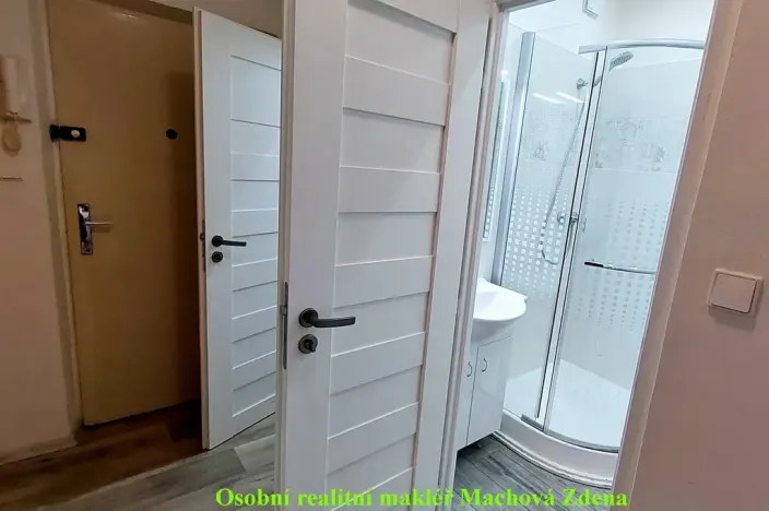 Pronájem bytu 2+1, Praha - Malešice, Káranská, 56 m2