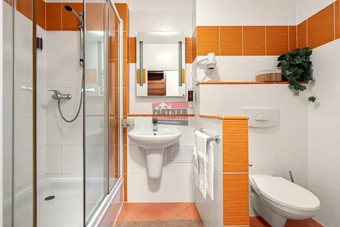 Prodej apartmánu, Frymburk, 31 m2