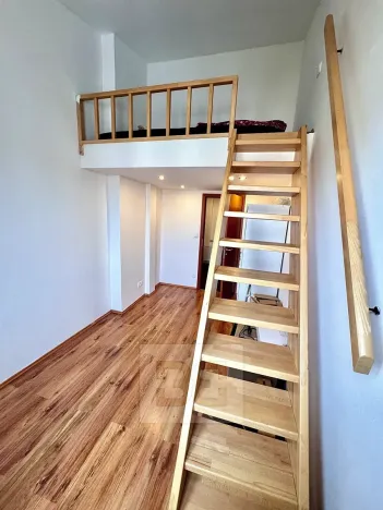 Pronájem bytu 3+kk, Praha - Žižkov, Biskupcova, 96 m2