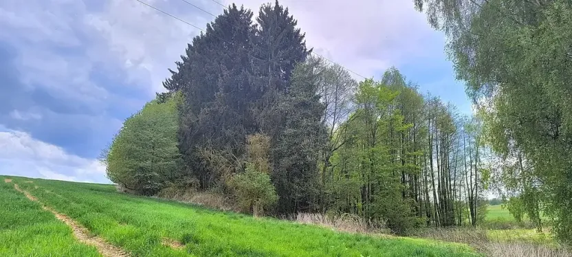 Prodej pozemku, Lipová, 927 m2