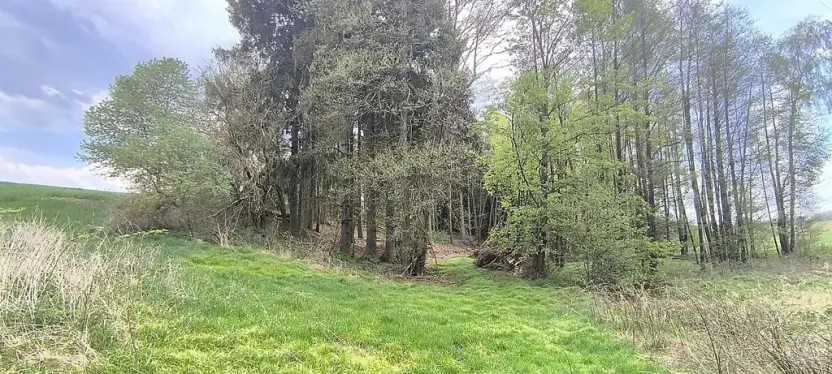 Prodej pozemku, Lipová, 927 m2