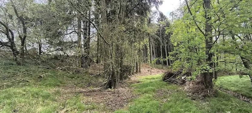 Prodej pozemku, Lipová, 927 m2