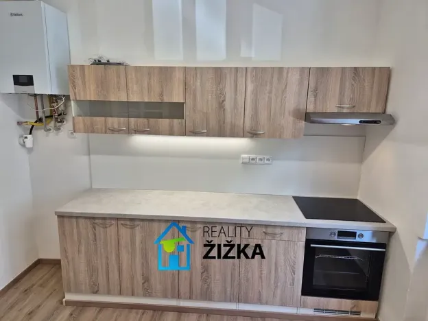 Pronájem bytu 1+1, Brno, Burešova, 47 m2